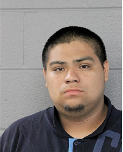 LUGO NESTOR, Cook County, Illinois