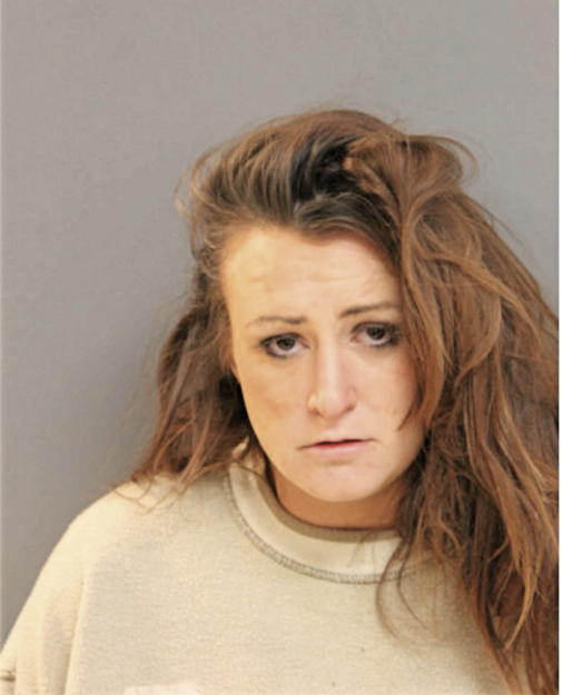 MEGAN E ORTIZ, Cook County, Illinois
