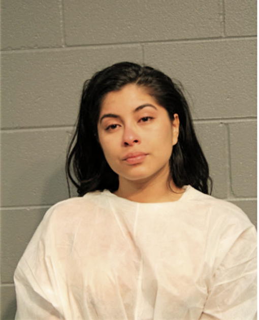 RUBI A PAZMINO, Cook County, Illinois
