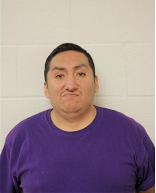 CESAR L PUCHUELA, Cook County, Illinois