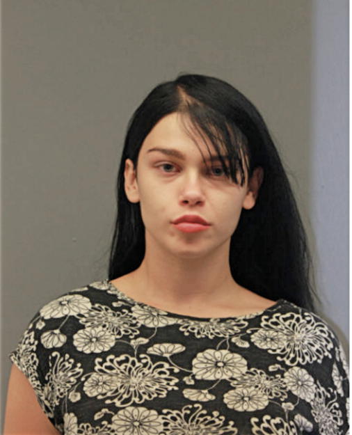 AMBER DIANA YOUNG, Cook County, Illinois