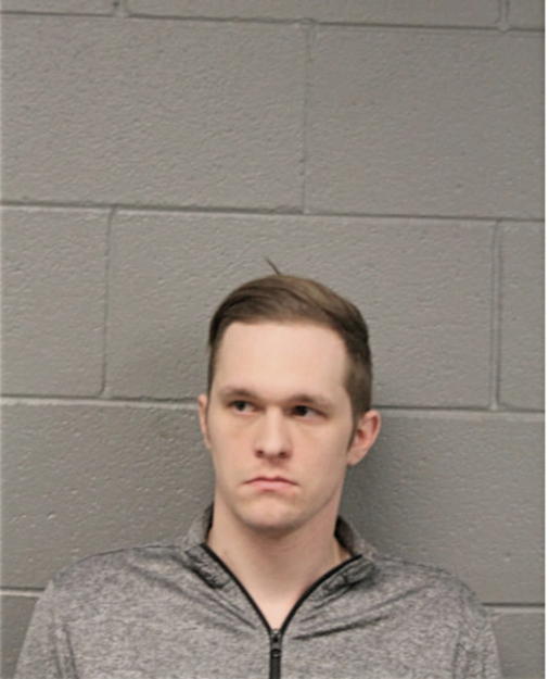 RYAN J ZIEBELL, Cook County, Illinois