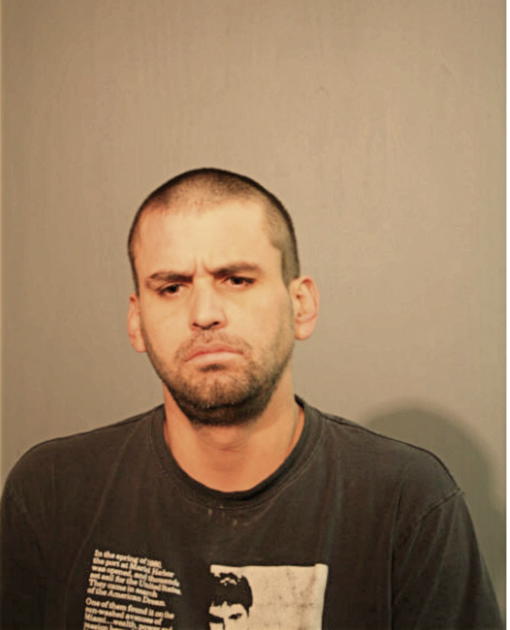 DOMINGO ACEVEDO, Cook County, Illinois