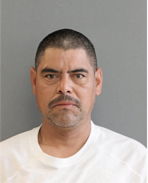 ESTEBAN ALFARO, Cook County, Illinois