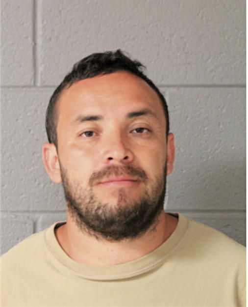 EDGAR ARROYO, Cook County, Illinois