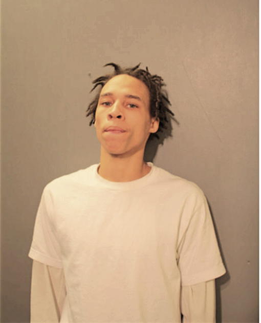 DAVION D BARNES, Cook County, Illinois