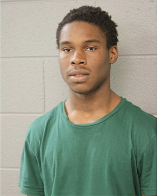 PATRICK E BOWDEN, Cook County, Illinois