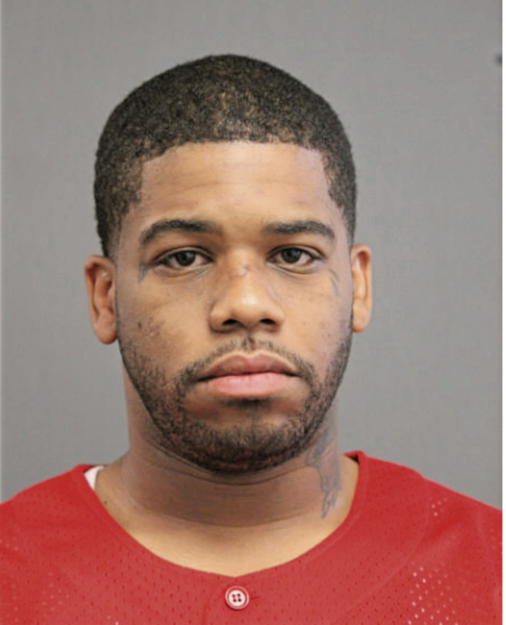 BRANDON M BROWN, Cook County, Illinois