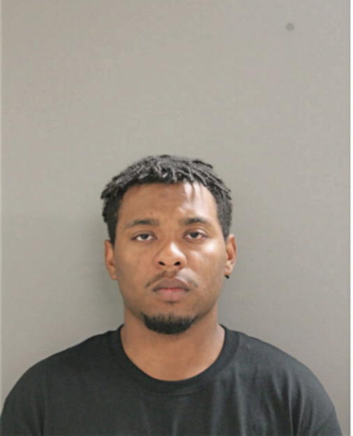 RYAN O BROWN, Cook County, Illinois