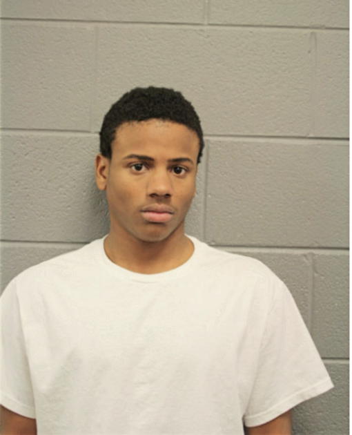 JAVOUN J BURNES, Cook County, Illinois