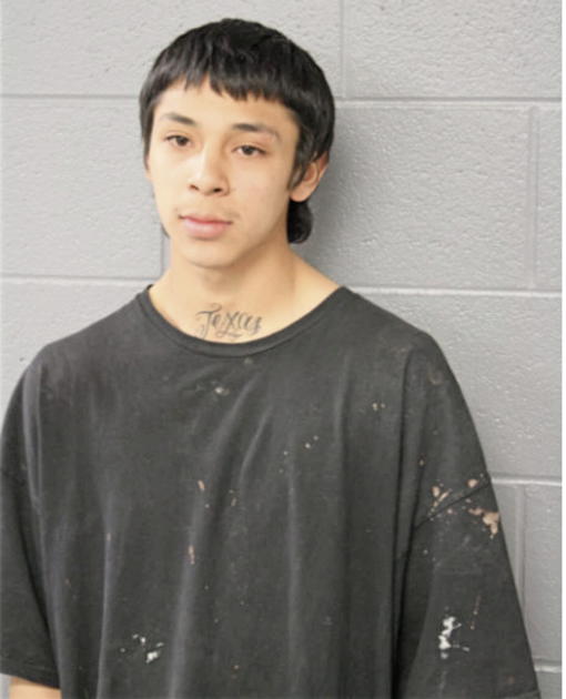 CESAR A CRUZ, Cook County, Illinois