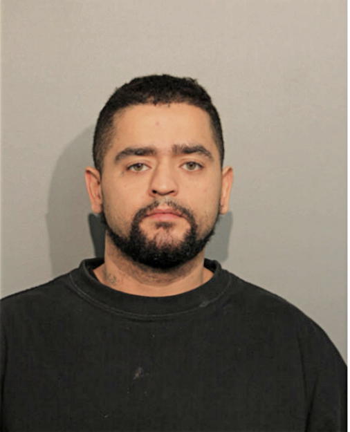 JOSE R DELEON, Cook County, Illinois