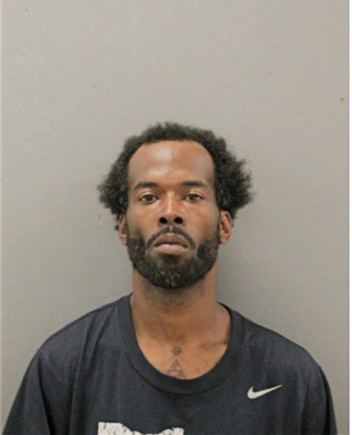 JAMES E LEWIS, Cook County, Illinois