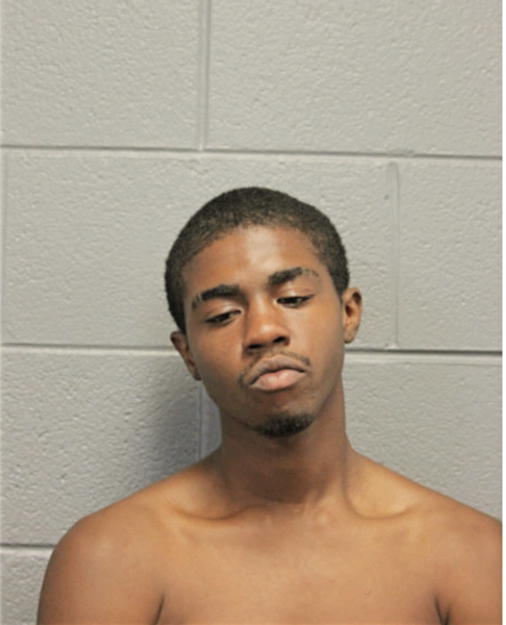 LUIS N FOSTER, Cook County, Illinois
