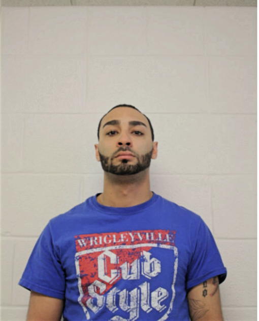 DANIEL C GONZALEZ, Cook County, Illinois