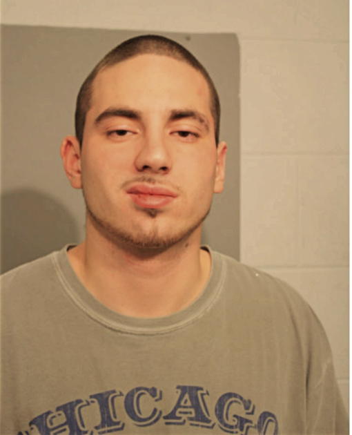 WALTER J GONZALEZ, Cook County, Illinois