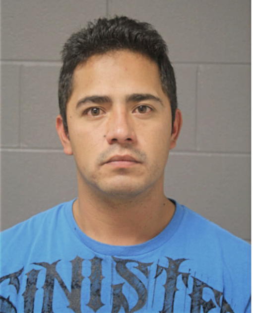 JOSE L GUERRERO, Cook County, Illinois