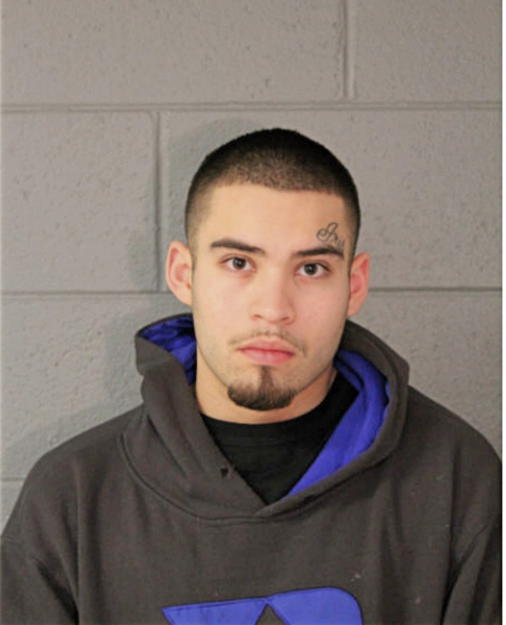 JOSE GUZMAN, Cook County, Illinois