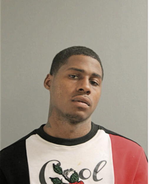 ANDRE N HEARD, Cook County, Illinois