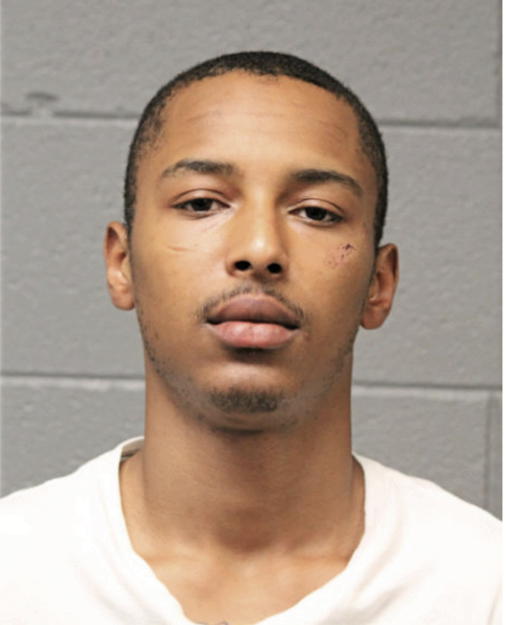ADAMU B HONORE, Cook County, Illinois