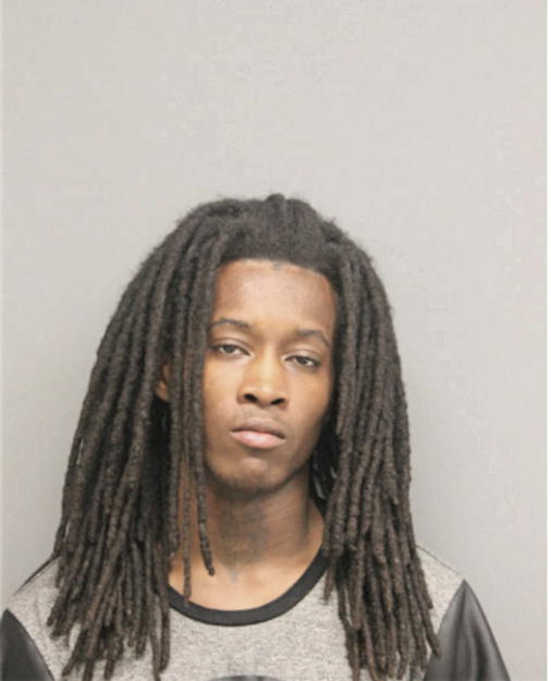 ANTWON R JOHNSON, Cook County, Illinois