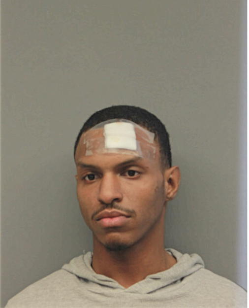 ANTIONE L LARKINS, Cook County, Illinois
