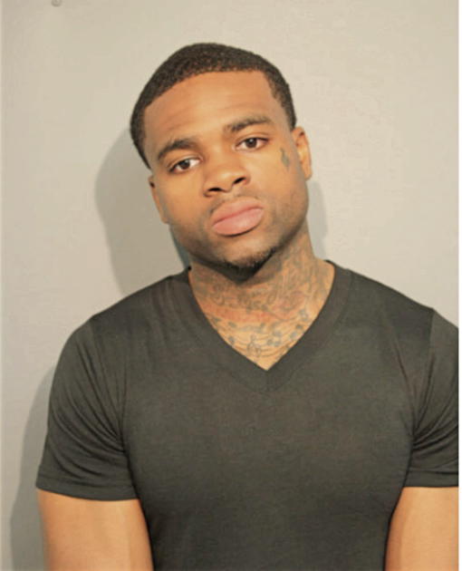 CHRISTOPHER D LAWSON, Cook County, Illinois