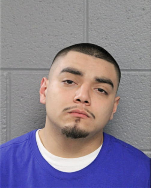 LUIS S LEON, Cook County, Illinois