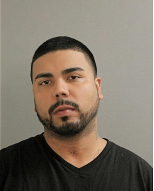 ANTHONY O LORENZI, Cook County, Illinois