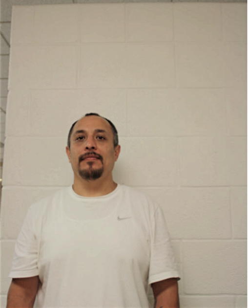 SERGIO MANZANARES, Cook County, Illinois