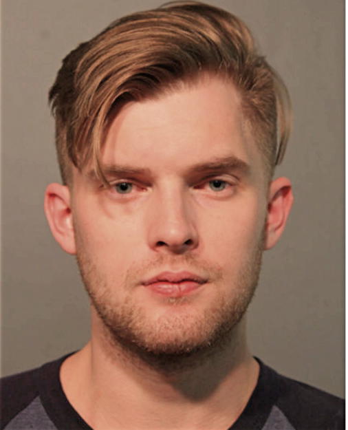 LIAM MCNICHOLAS, Cook County, Illinois