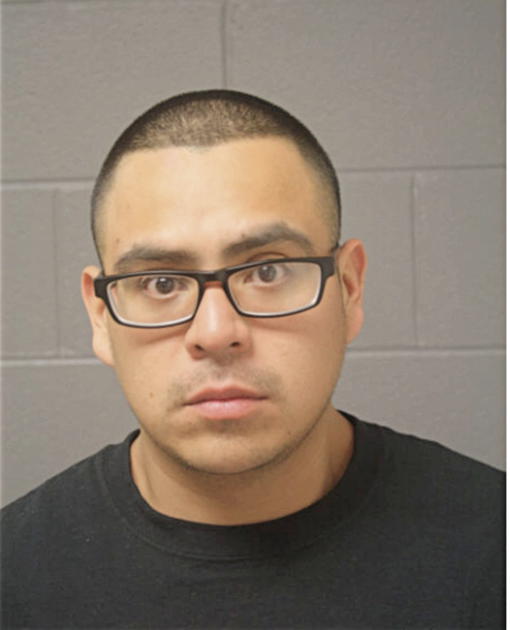 JUAN M MOYA, Cook County, Illinois