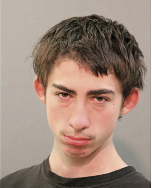 KYLE ROBERTS, Cook County, Illinois