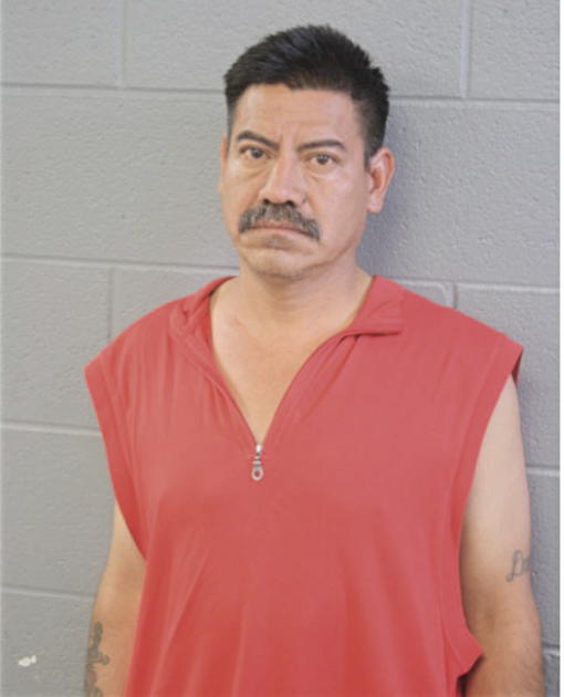 ALEJANDRO RUIZ, Cook County, Illinois
