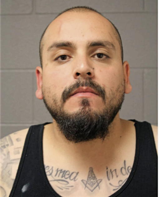 VICTOR SALAZAR, Cook County, Illinois