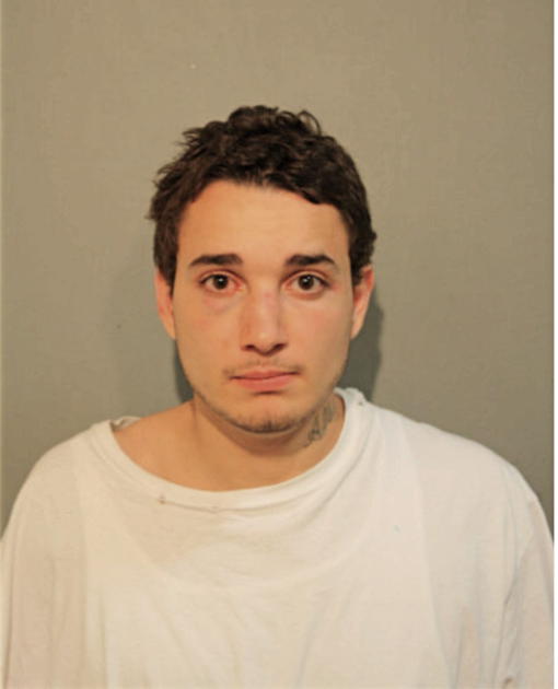 NELSON L VASQUEZ, Cook County, Illinois
