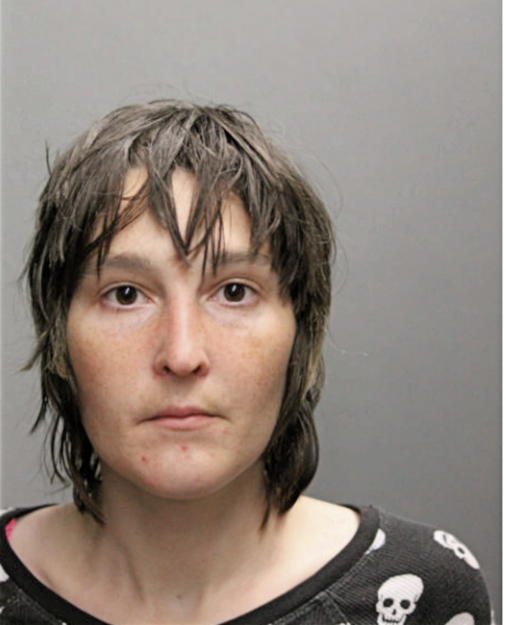 HEATHER L WITT, Cook County, Illinois
