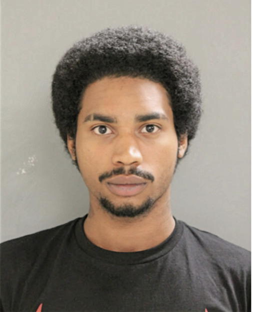 TERRELL DAMEAN YOUNG-RUSHING, Cook County, Illinois