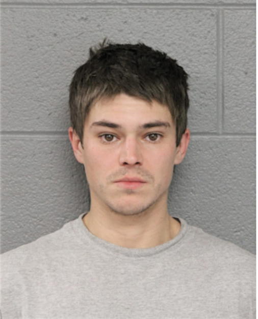 MATTHEW P ADLER, Cook County, Illinois