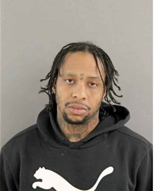 JOSHUA K ALSTON, Cook County, Illinois
