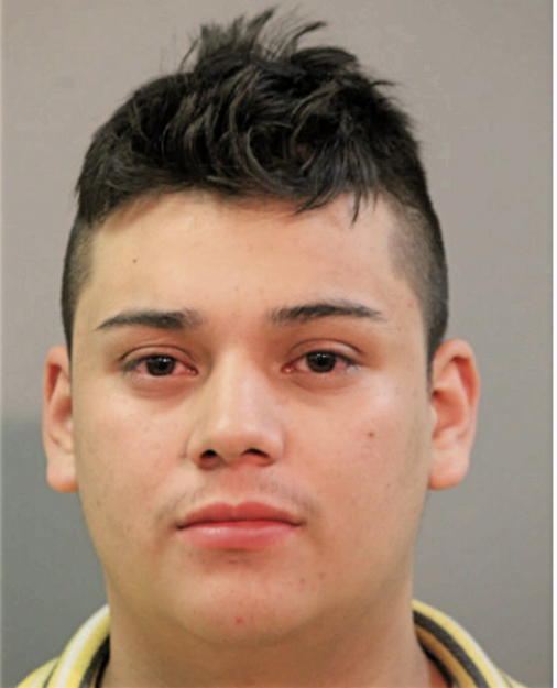 ARTURO A ALVAREZ, Cook County, Illinois