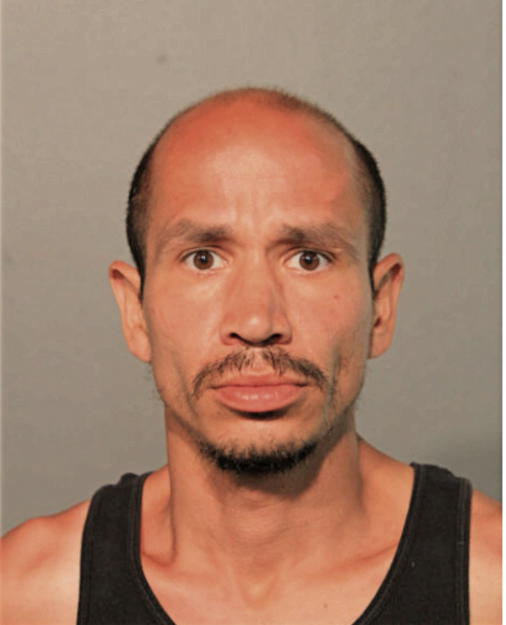 DANIEL J ALVAREZ, Cook County, Illinois