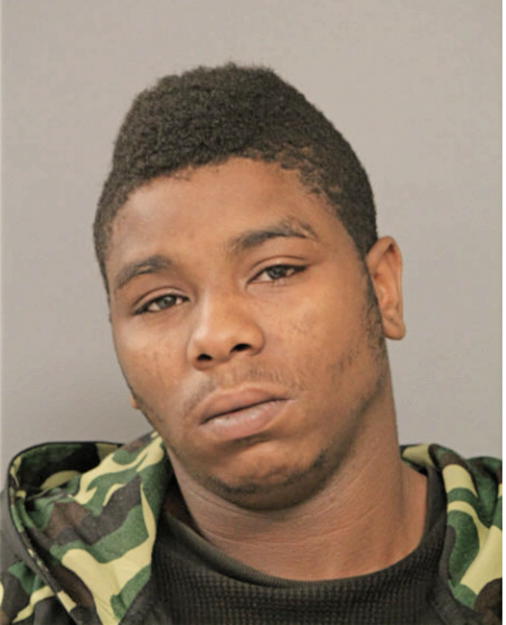 NATHANIEL E ANDERSON, Cook County, Illinois