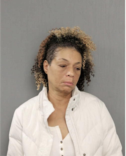 DENISE P BLUMFIELD, Cook County, Illinois