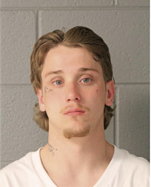 RYAN N BOWEN, Cook County, Illinois