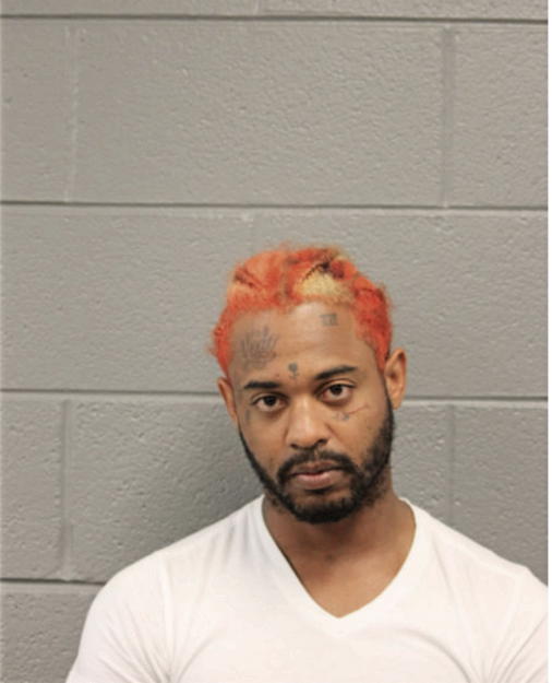 LESHANNON J CAMPBELL, Cook County, Illinois