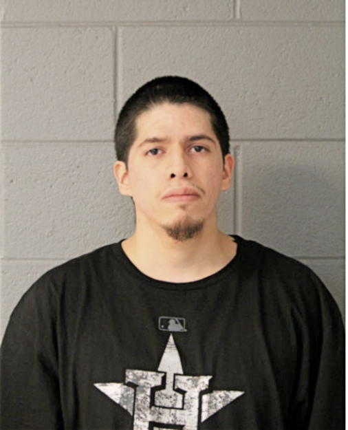 JUAN J CHAVEZ, Cook County, Illinois