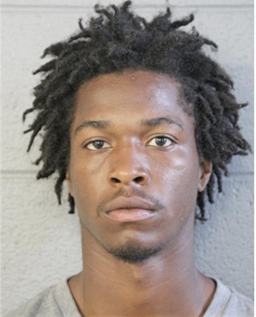 BRANDON D DEW, Cook County, Illinois