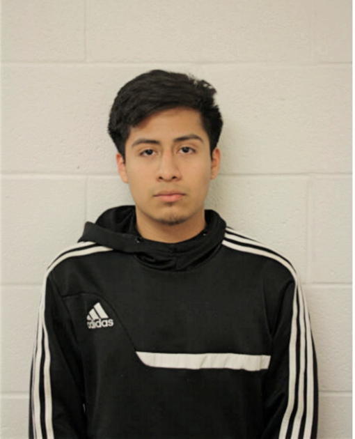 MARVIN F FLORES, Cook County, Illinois