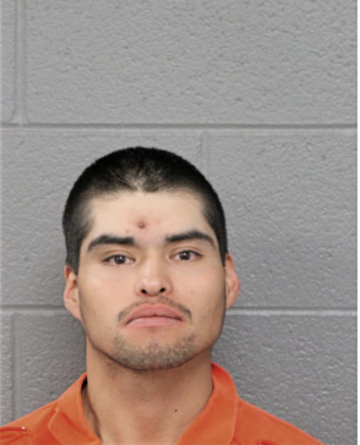 JOSE R HERNANDEZ, Cook County, Illinois
